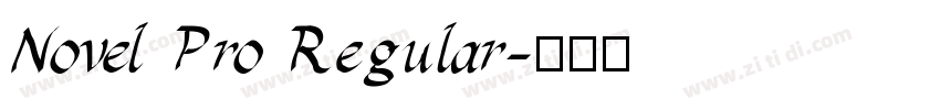 Novel Pro Regular字体转换